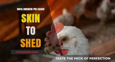 Does Chicken Pox Cause Skin Shedding? Facts and Insights