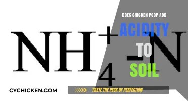 Can Chicken Poop Affect Soil pH? Exploring Its Acidity Impact
