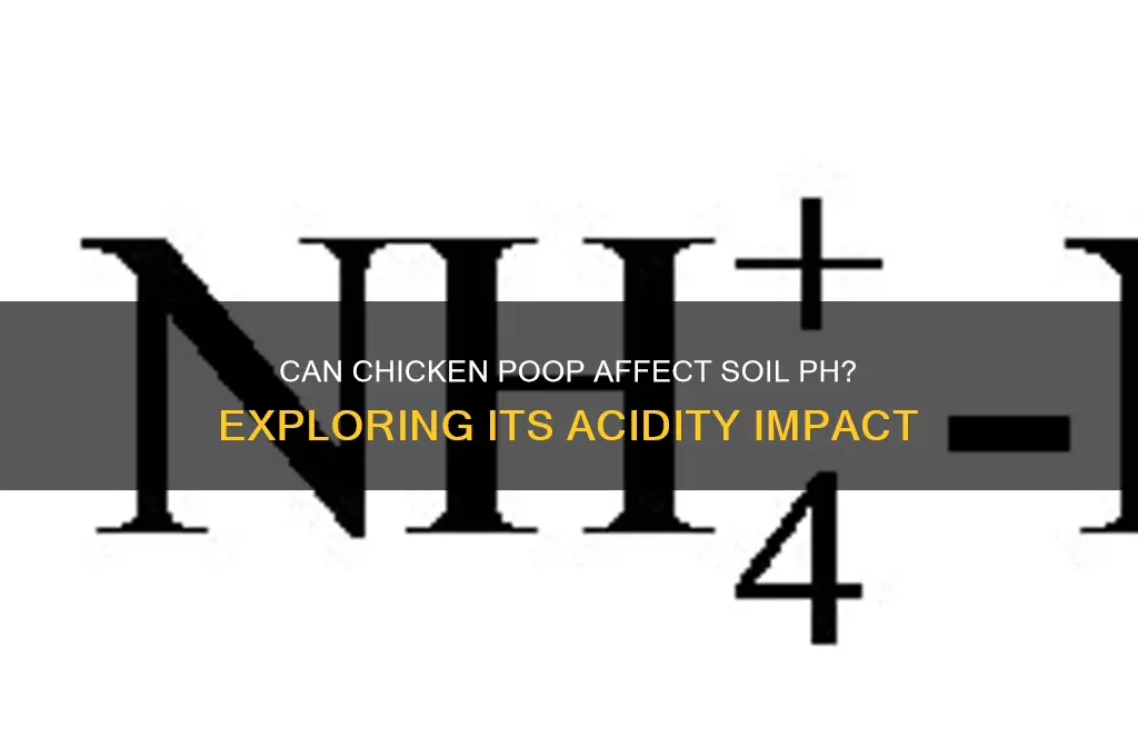 does chicken poop add acidity to soil