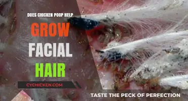 Can Chicken Poop Really Boost Your Facial Hair Growth?