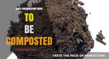 Should You Compost Chicken Poop? Benefits and Best Practices Explained