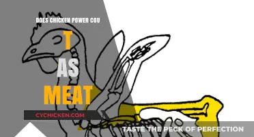 Is Chicken Power Counted as Meat? Exploring Dietary Classifications