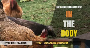 Does Chicken Increase Body Heat? Unraveling the Food-Warmth Connection
