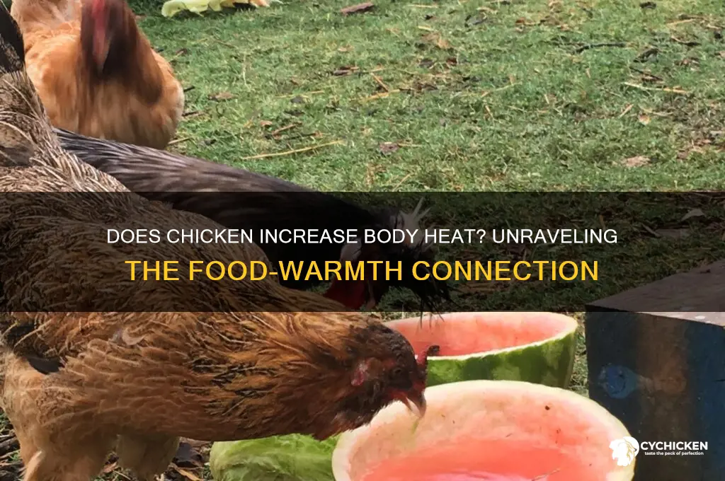 does chicken produce heat in the body