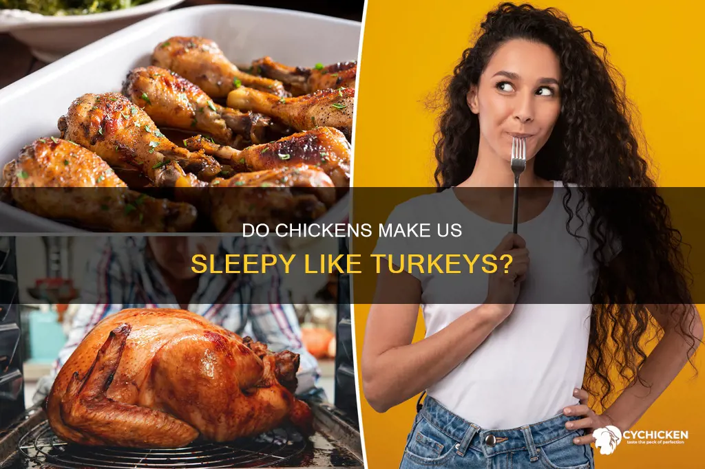 does chicken produce the same sleepy hormones as turkey