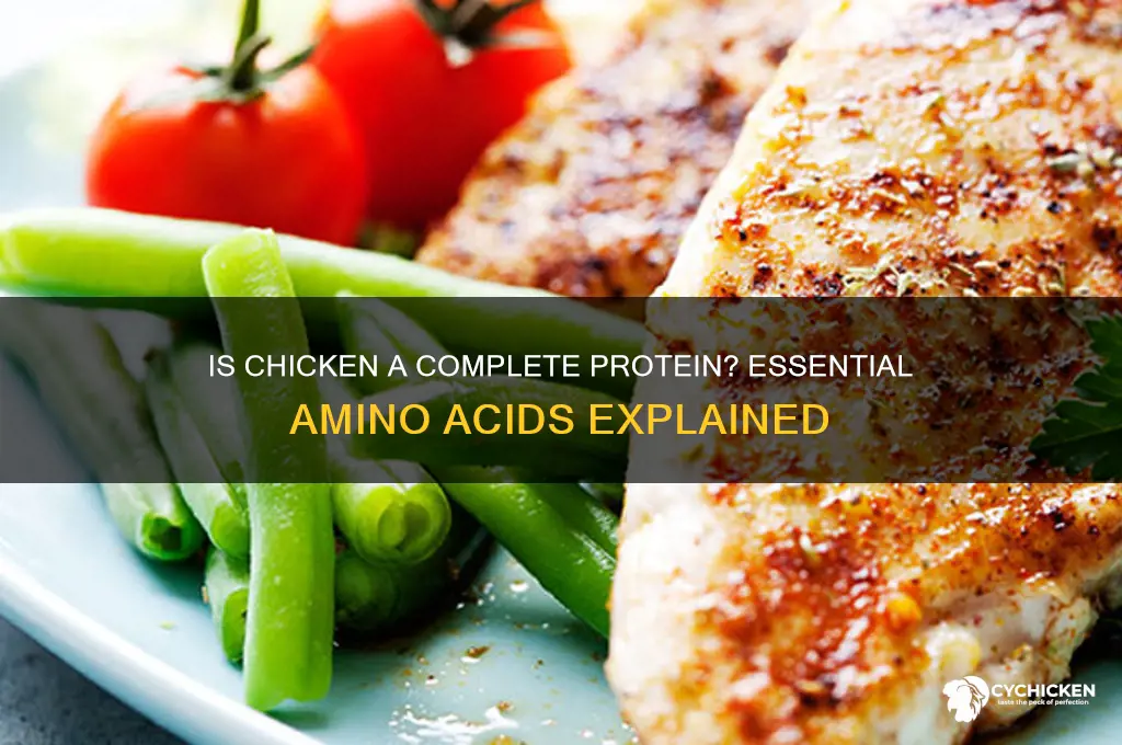 does chicken provide all essentail amino acids