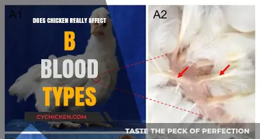 Chicken and Blood Type B: Unraveling the Dietary Connection