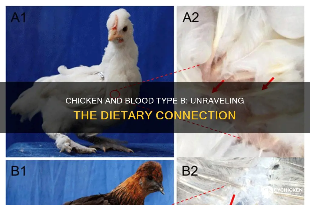 does chicken really affect b blood types