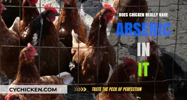 Does Chicken Contain Arsenic? Uncovering the Truth About Poultry Production