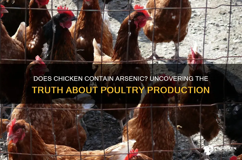 does chicken really have arsenic in it