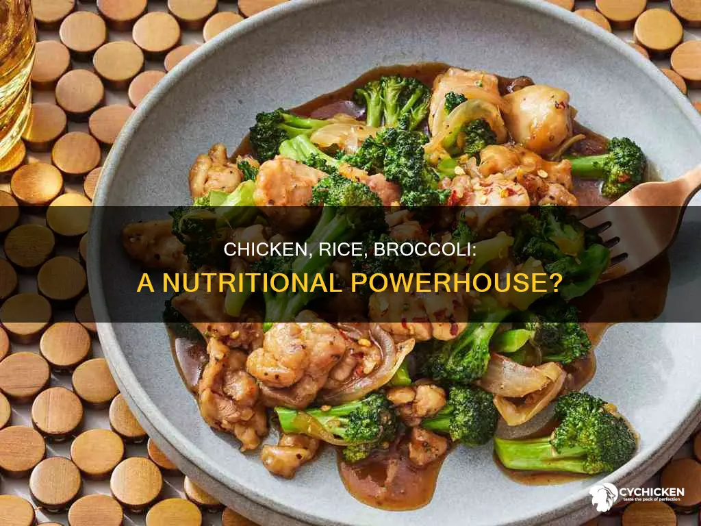 does chicken rice and broccoli have all nutrition i need