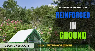 Reinforcing Chicken Runs: In-Ground or Above?