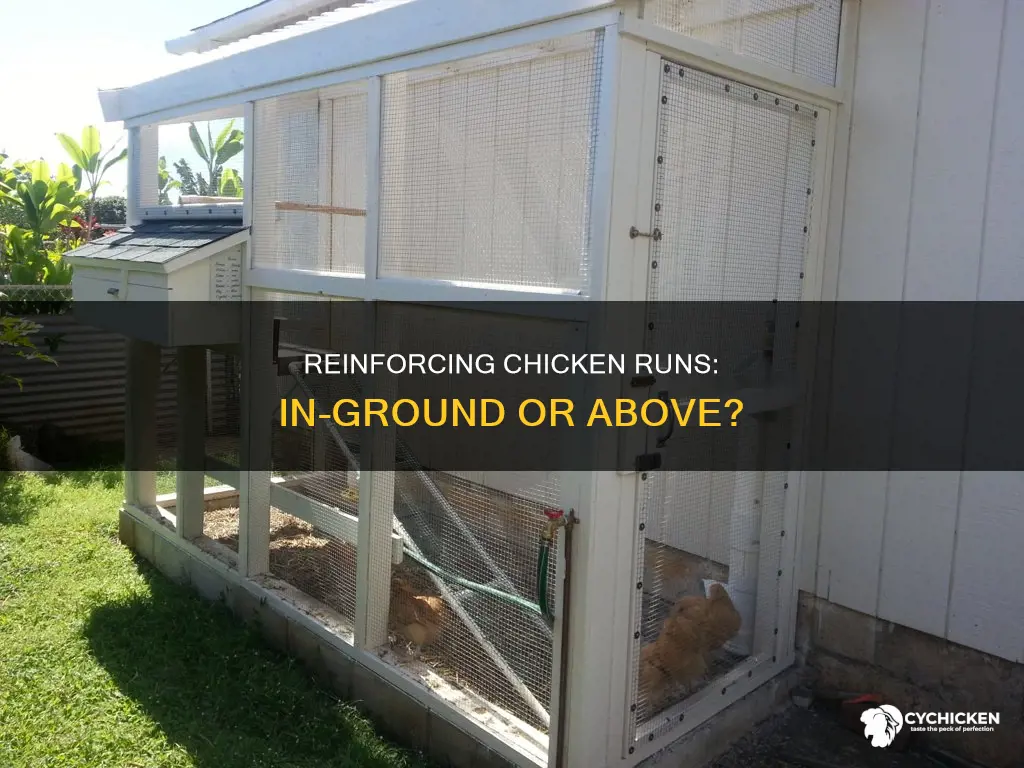 does chicken run need to be reinforced in ground
