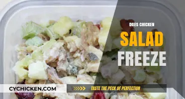 Exploring the Freezer-Friendly Nature of Chicken Salad