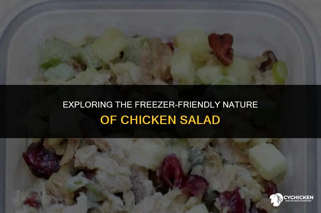 does chicken salad freeze