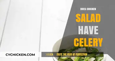 Crunchy Controversy: Celery's Role in Classic Chicken Salad