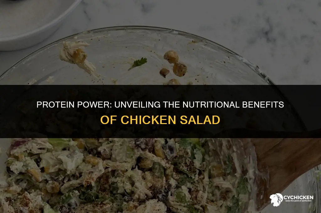 does chicken salad have protein