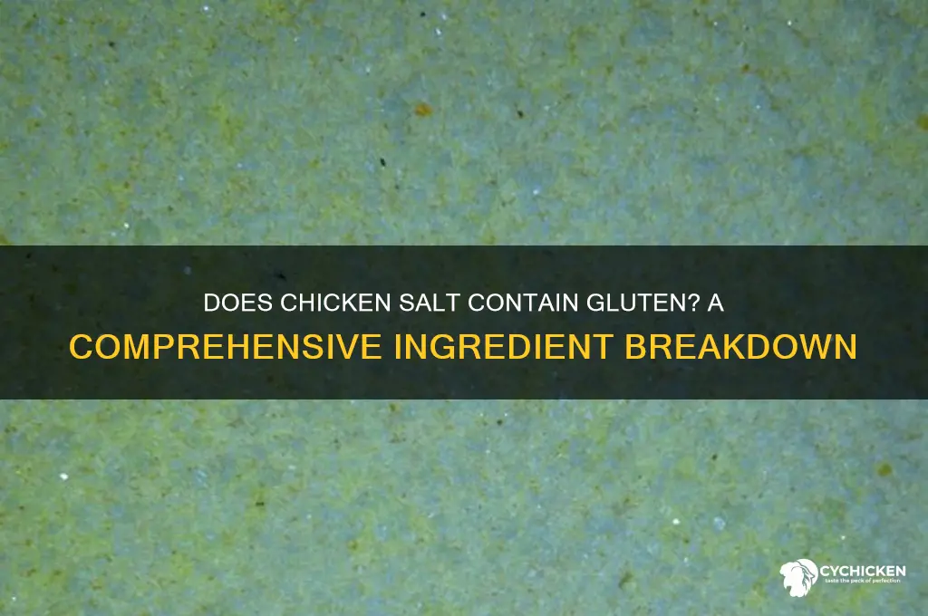 does chicken salt have gluten in it