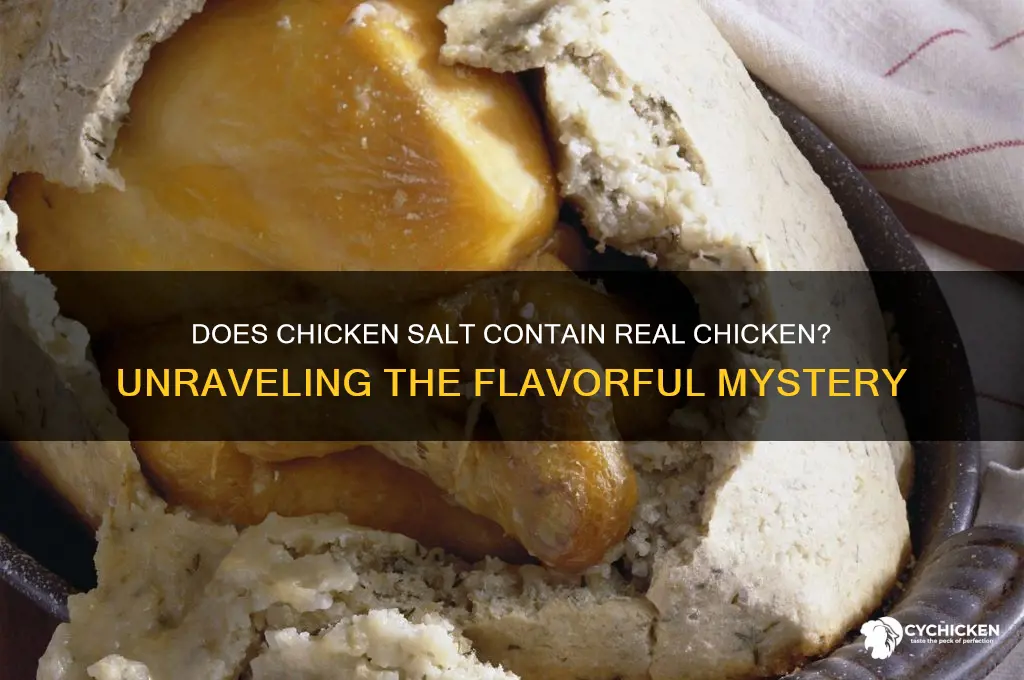 does chicken salt have real chicken in it