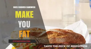 Can Eating Chicken Sandwiches Lead to Weight Gain? Facts Revealed