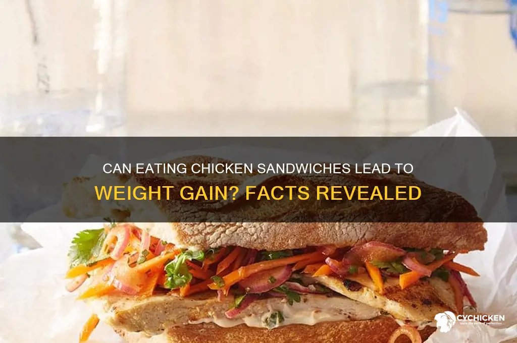 does chicken sandwich make you fat