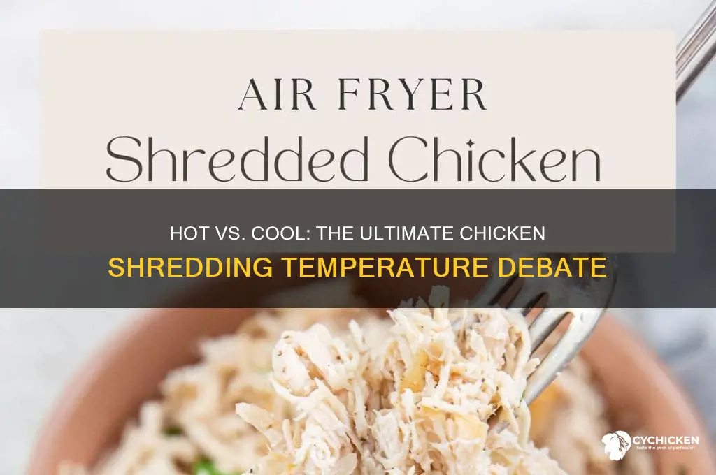does chicken shred better when hot or cool