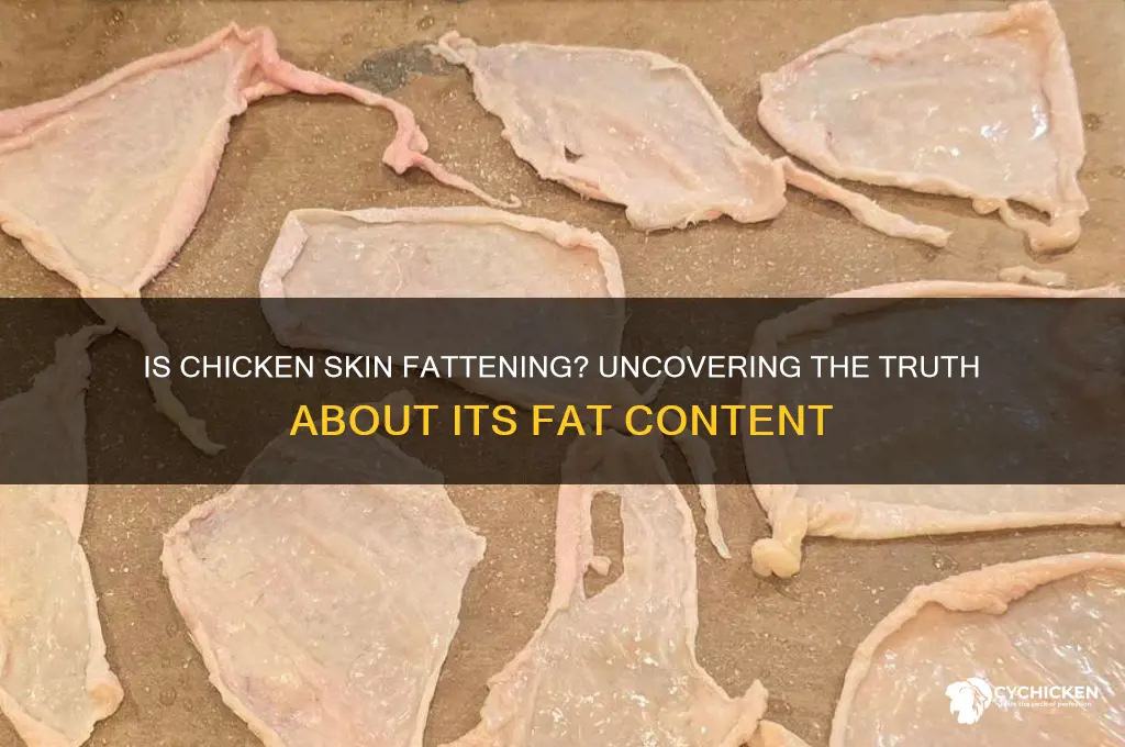 does chicken skin have a lot of fat
