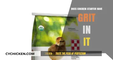 Does Chicken Starter Contain Grit? Uncovering the Truth for Healthy Chicks