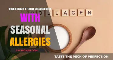 Chicken Sternal Collagen: A Natural Remedy for Seasonal Allergies?