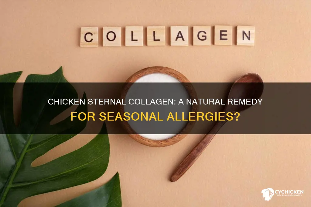 does chicken sternal collagen help with seasonal allergies