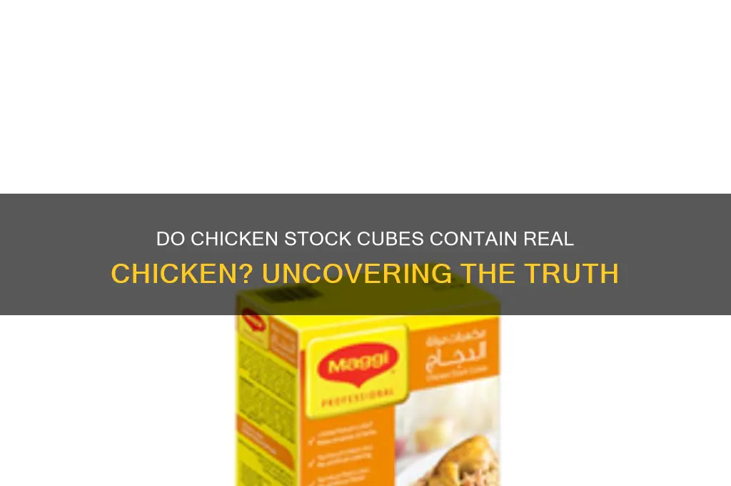 does chicken stock cubes have chicken in it