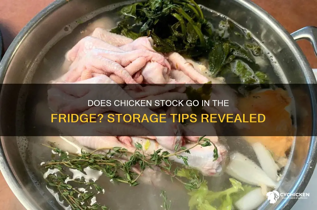 does chicken stock go in the fridge