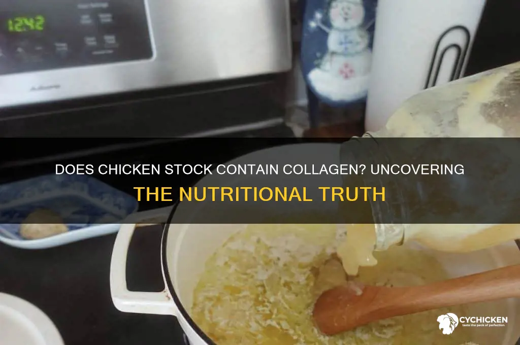 does chicken stock have collagen in it