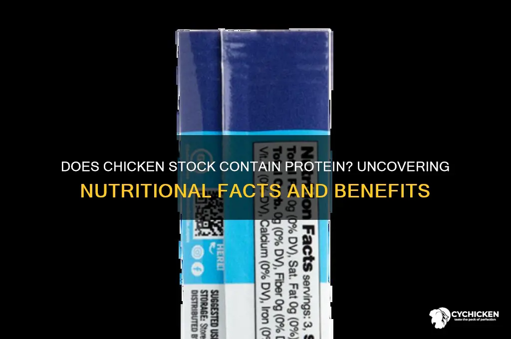 does chicken stock have protein in it
