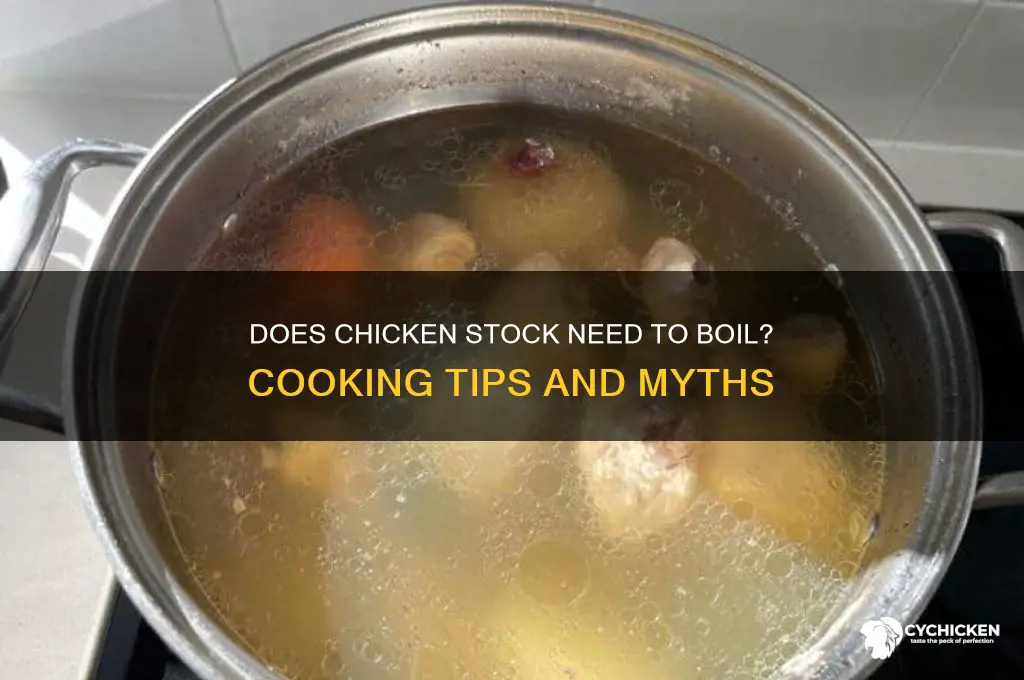 does chicken stock have to come to boil