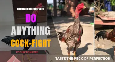 Does Chicken Strength Impact Cockfighting Outcomes? Exploring the Role of Power