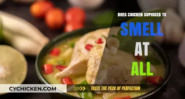 Does Chicken Naturally Have a Smell? Debunking Common Myths