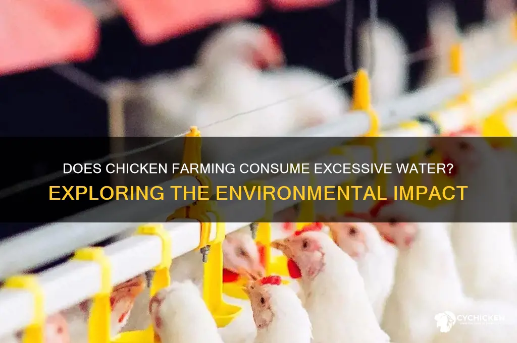 does chicken take a lot of water