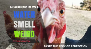 Why Does Chicken in Water Smell Odd?