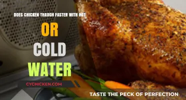 Hot or Cold: Which Water Thaws Chicken Faster?