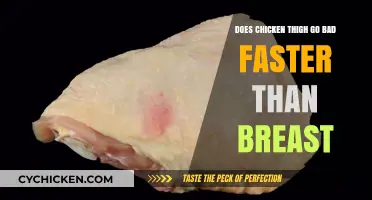 Chicken Thigh vs. Breast: Which Spoils Faster in Your Fridge?