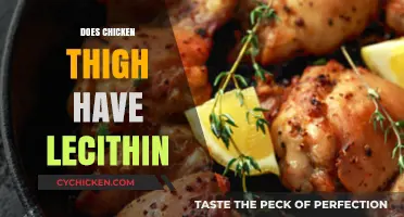 Does Chicken Thigh Contain Lecithin? Uncovering the Nutritional Facts