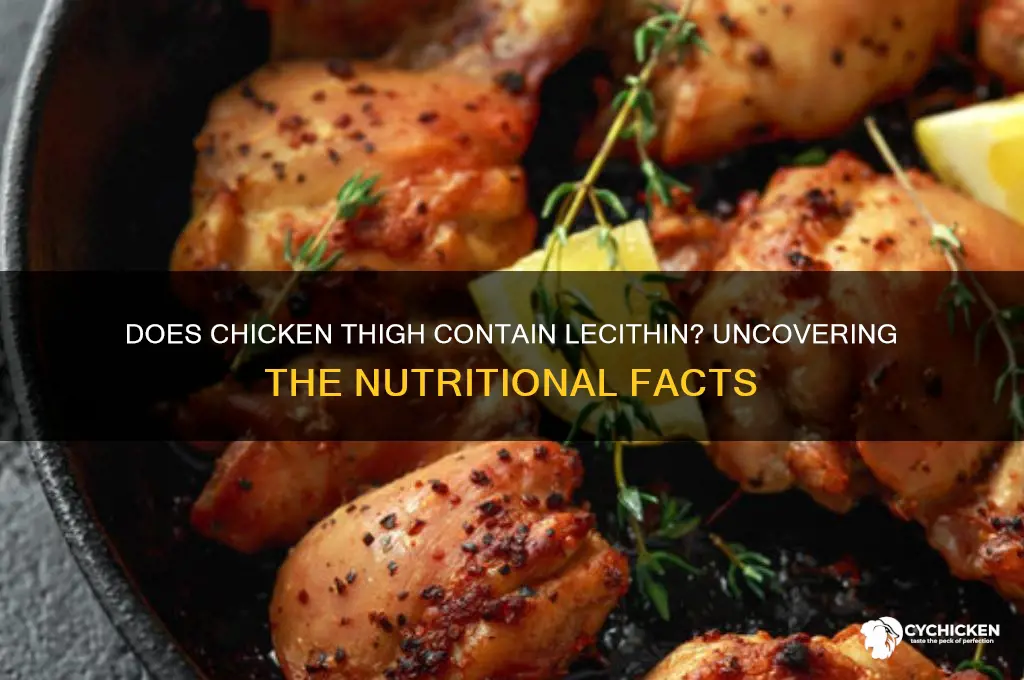does chicken thigh have lecithin