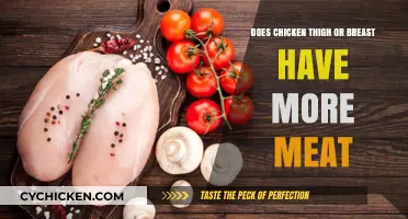Chicken Thigh vs. Breast: Which Cut Offers More Meat?