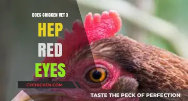 Chicken Vet's Guide: Understanding and Treating Hepatic Red Eye Issues