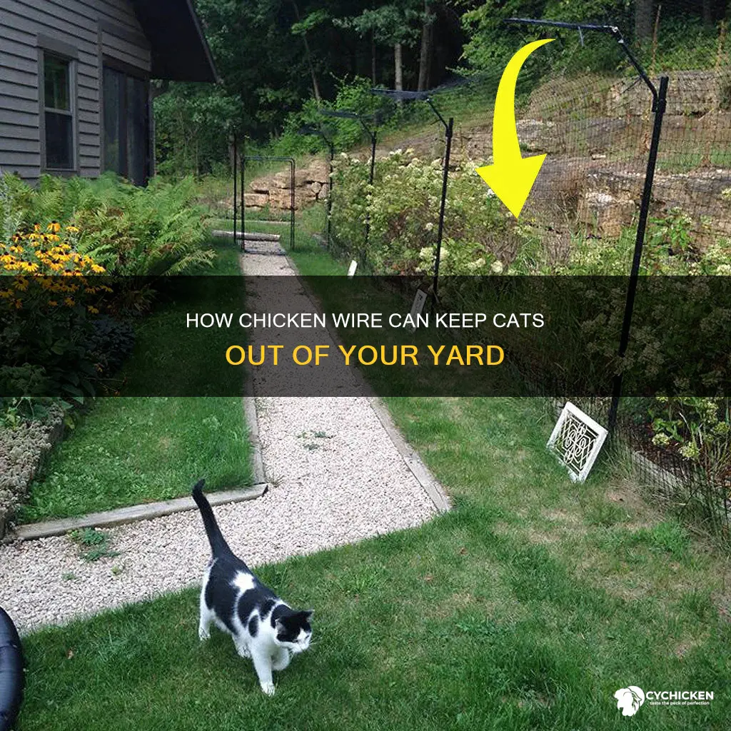 does chicken wire on top of fence stop cats
