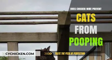 Can Chicken Wire Stop Cats from Pooping in Your Garden?