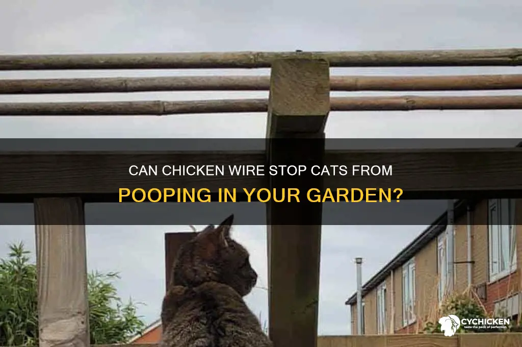 does chicken wire prevent cats from pooping