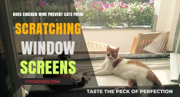 Chicken Wire: A Scratch-Proof Window Screen Solution for Cats