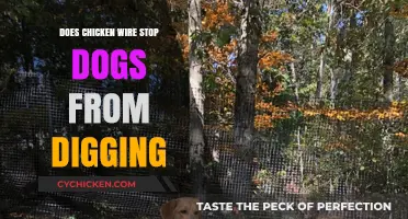 Can Chicken Wire Effectively Prevent Dogs from Digging? Find Out Here